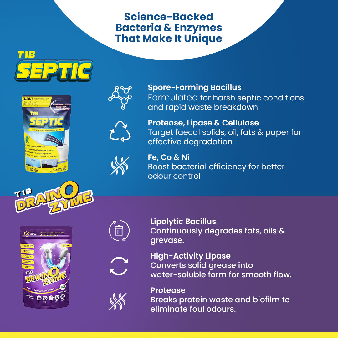 T1B Septic Cleaner & Drain O Zyme Combo Pack | Eliminates Odor, Prevents Clogs Powder Drain Opener  (500 g, Pack of 2)