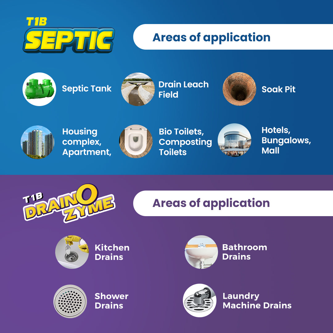 T1B Septic Cleaner & Drain O Zyme Combo Pack | Eliminates Odor, Prevents Clogs Powder Drain Opener  (500 g, Pack of 2)